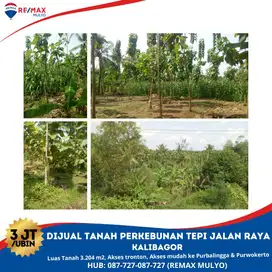 Dijual Tanah Perkebunan Tepi Jalan Raya Seluas 3204 m2