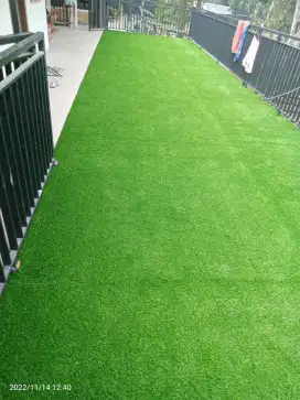 rumput sinterus murah di bandung bisa cod