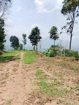 Jual Cepat Tanah Kav Satu Hamparan Desa Sukamakmur Jonggol
Kab.Bogor