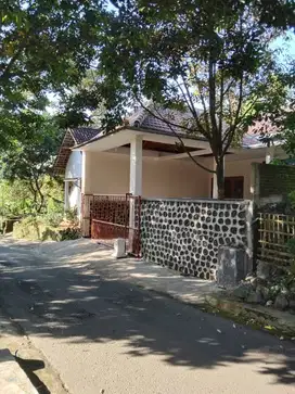 Rumah semi villa di Purwodadi bagus elegan ada pohon durian