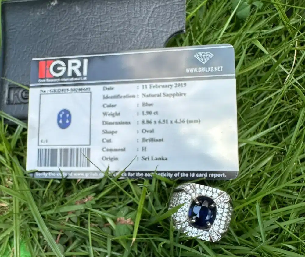 Blue shafir sri lanka