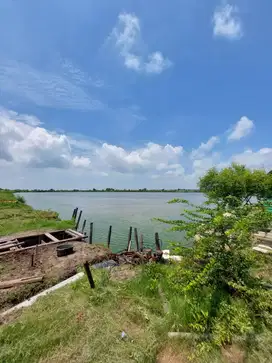 DJUAL LAHAN TAMBAK PRODUKTIF SANGAT KOMERSIL UJUNGPANGKAH GRESIK