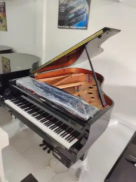 Grand Piano Yamaha C3 Disclavier Build Up Japan