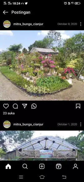 Service Taman Dan Pembuatan Taman