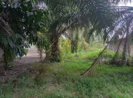 Dijual lahan sawit dan lahan kosong pinggir jalan umum Rp. 230 nego