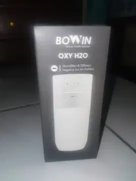 Humidifier & Diffuser (BOWIN)
