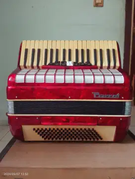 VINTAGE ACCORDION 'PARROT'