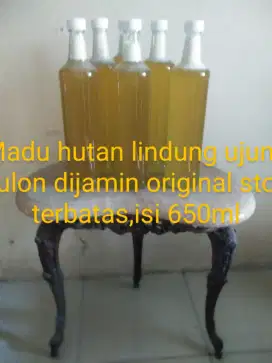 Madu original hutan lindung