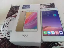 HP vivo Y 55 mantap