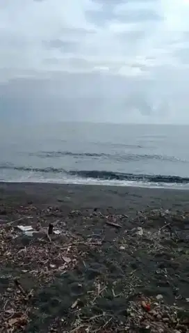 Di jual tanah 10 ha untuk tambak udang di Lombok utara