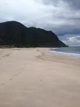 DIJUAL TANAH PANTAI WANE BIMA SUMBAWA