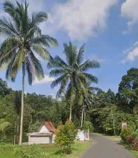 KEBUN AIR TERJUN COCOK UNTUK VILLA