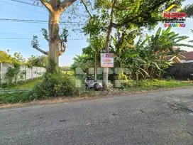 Dijual Tanah Sawah ditepi Jl.Tratas - Muncar, Banyuwangi