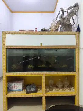 Aquarium Fullset