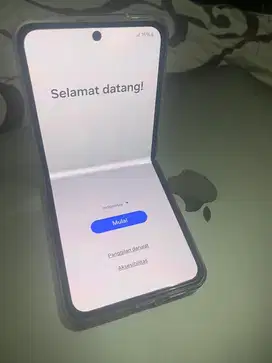 Samsung Z Plif 4 (Sein)