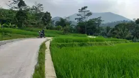 Tanah sangat bagus view lepas untuk villa+rumah