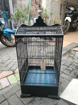 Kandang kosan 40x40