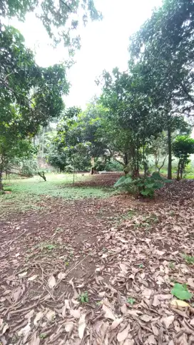 Dijual Cepat tanah untuk cluster rumah dll
