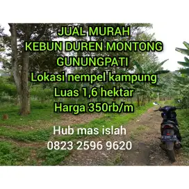 JUAL MURAH KEBUN DUREN GUNUNGPATI SEMARANG