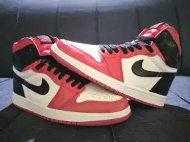 Nike Aj 1 high  OG Satin snake chicago