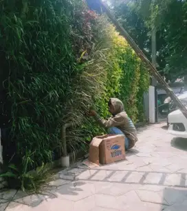 Taman vertikal garden