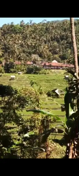 Dijual tanah 2,5 hektar view sawah dan sungai  selumbung manggis bali