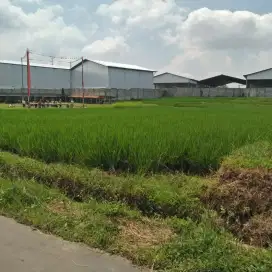 DIJUAL TANAH SAWAH LOKASI STRATEGIS 1.820 m²  INDIHIANG, TASIKMALAYA