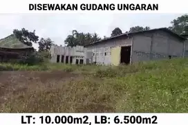 DIJUAL TANAH + GUDANG UNGARAN 1HA LB: 6500m2