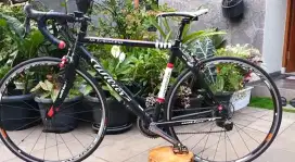 Roadbike Wilier Triestina Competizione