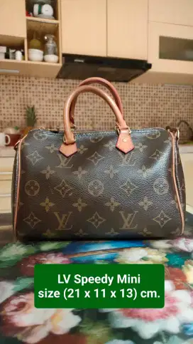 LV Monogram Mini speedy