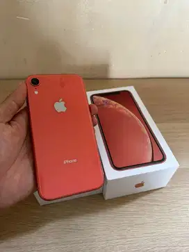 iphone xr 64gb coral beacukai