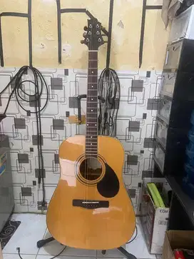 Gitar Akustik Samick Solid Top