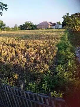 DIJUAL TANAH SAWAH