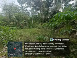 Kebun Jeruk Pepaya Ngembal Wajak Malang