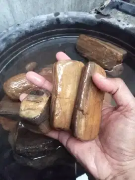 Fosil kayu temuan sungai