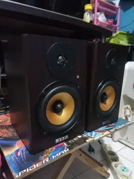 Speaker dolphin DS5A flat monitor recording