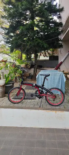 Dahon Vector P8 20 inch Merah