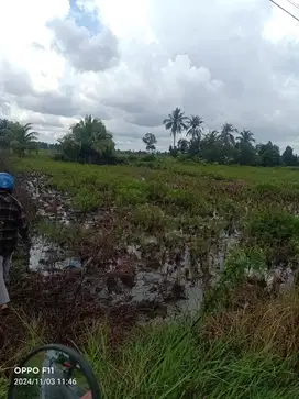 DIJUAL TANAH DI ANJIR MUARA