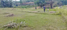 Sawah murah kota metro