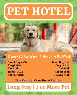penitipan anjing pakuwon city