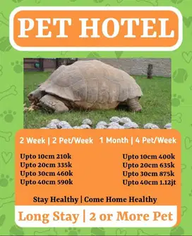 pethotel pakuwon city