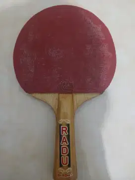 Bet Pingpong Radu Dixon