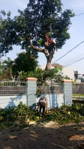 Tukang tebang pohon & rumput