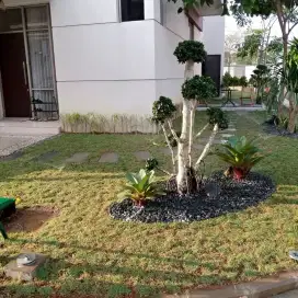 PEMBUATAN TAMAN MINIMALIS/TAMAN OUTDOOR MAUPUN INDOOR