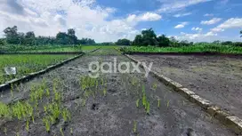 DIJUAL TANAH AREA GRESIK BALONGPANGGANG