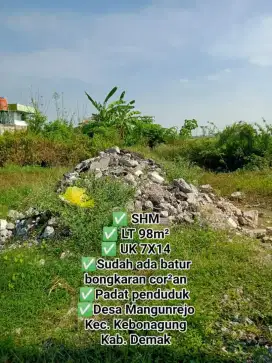 Dijual tanah kavling di kebonagung, kab Demak