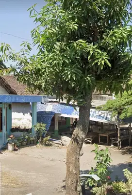 574.1128.125 Lelang Rumah Sidoarjo Di Singojoyo Di Seketi Balongbendo