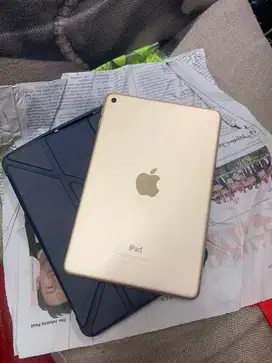 Ipad mini 4 128 wifi only