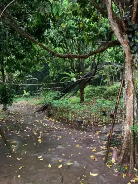 Dijual Cepat Tanah di Daerah Parungkuda Sukabumi