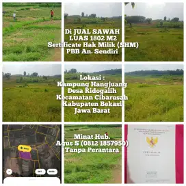 JUAL SAWAH ATAS NAMA SENDIRI